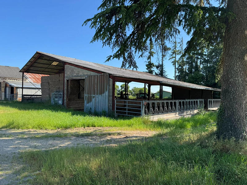 Maison - 240 m² - 8 pièces