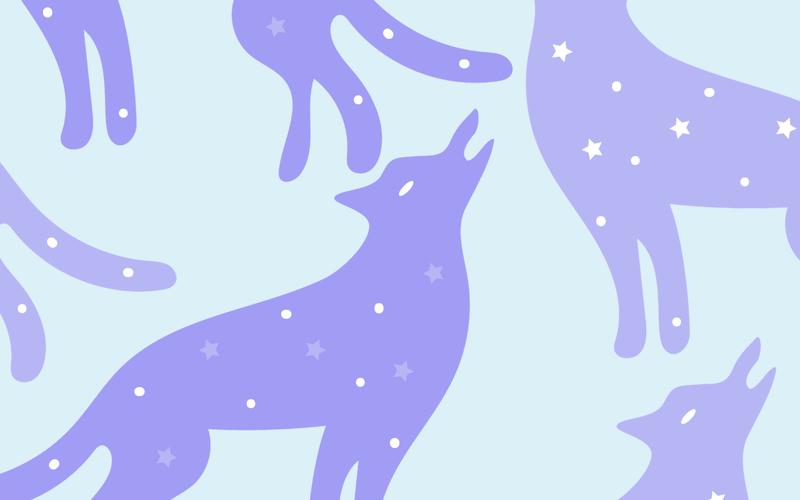 Soirée pyjama: Gare aux loups