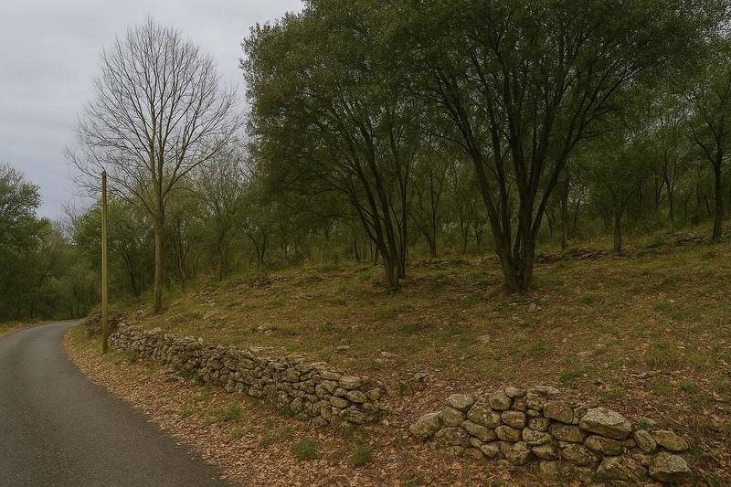 Terrain constructible - 4 240 m²