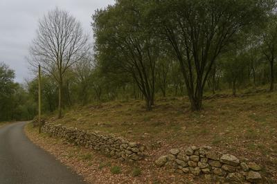 Terrain constructible - 4 240 m²