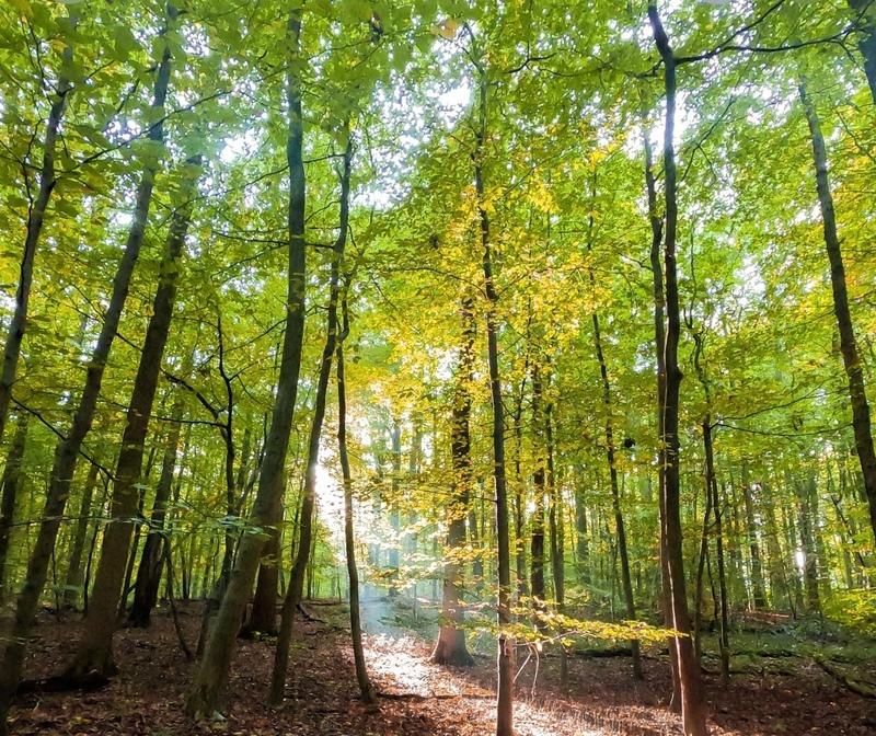 Terrain agricole - 2 525 m²