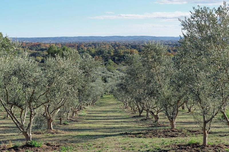 Demeure - 800 m² - 11 pièces