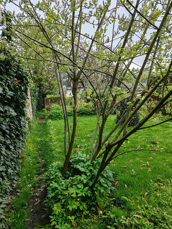 Maison - 150 m² - 4 pièces