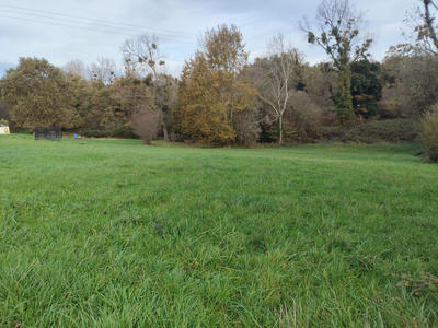 Terrain constructible - 4 714 m²