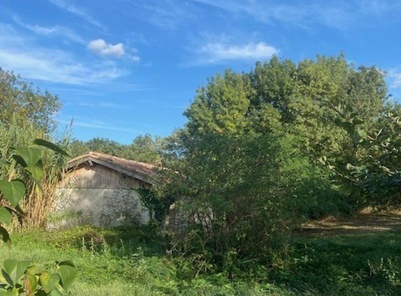 Ferme - 300 m² - 5 pièces