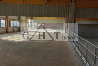 Entrepôt - 3 537 m²