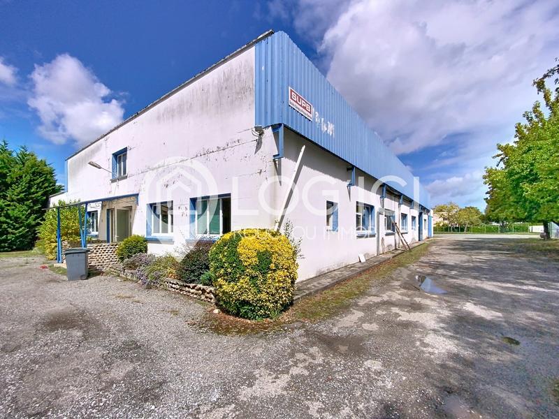 Local d'activités - 550 m²