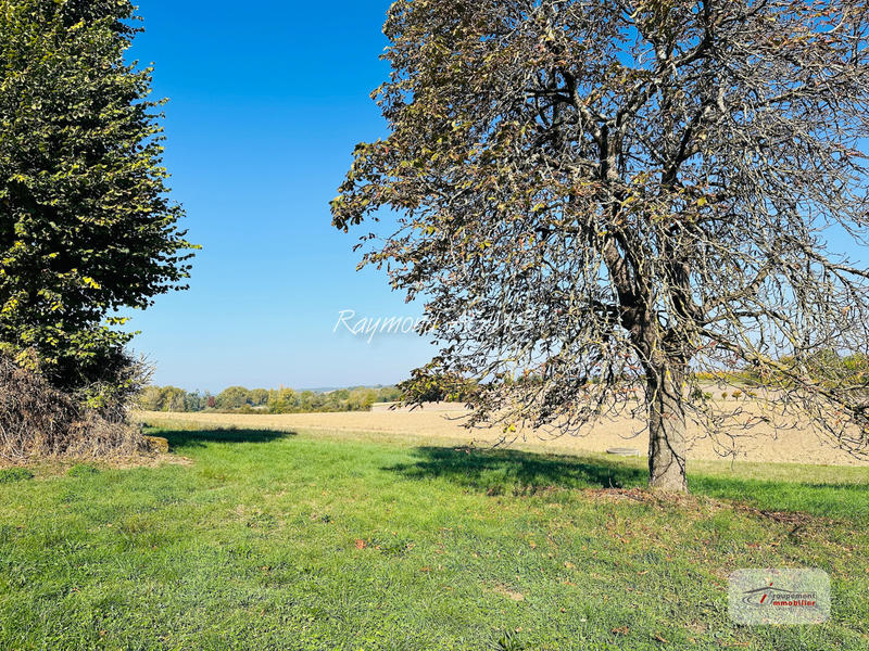 Maison - 165 m² - 5 pièces