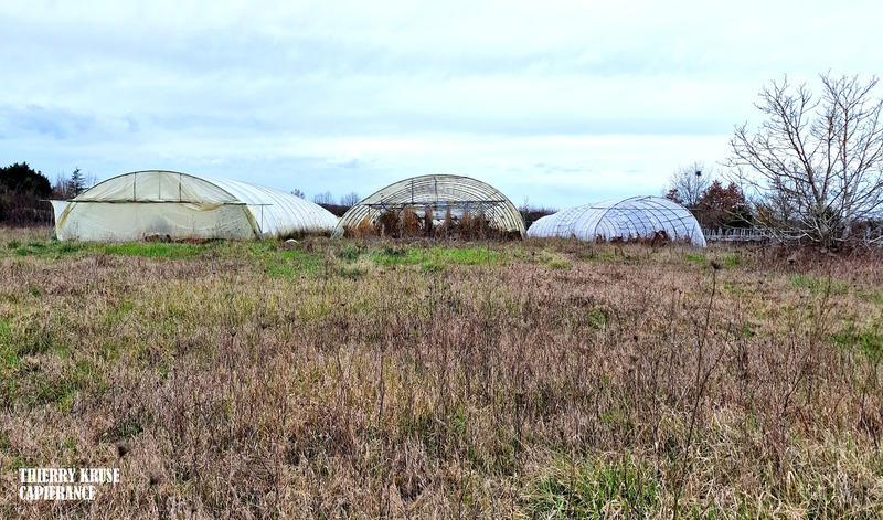 Terrain agricole - 120 000 m²