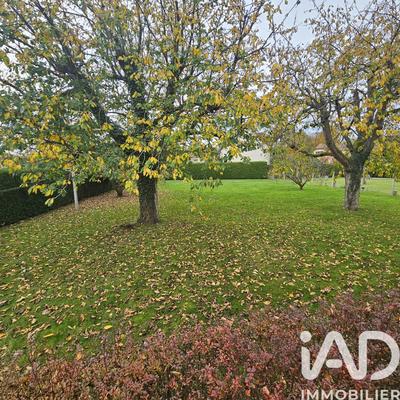 Maison - 82 m² - 4 pièces