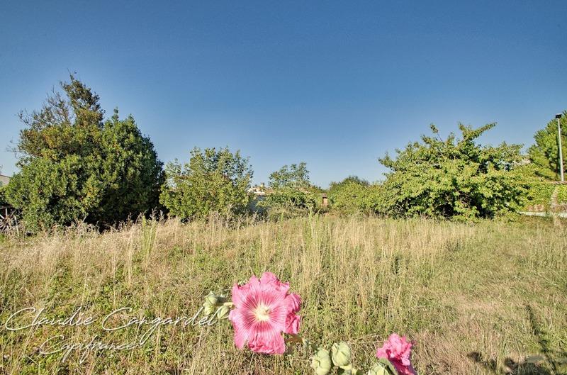 Terrain constructible - 1 073 m²