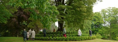 Arboretum du Château de Neuvic d'Ussel