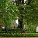 Arboretum du Château de Neuvic d'Ussel