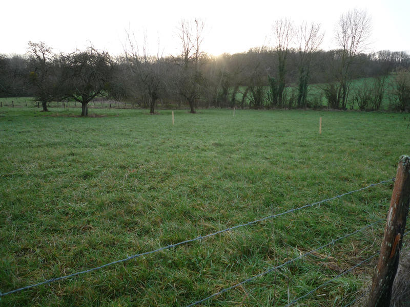 Terrain constructible - 1 369 m²