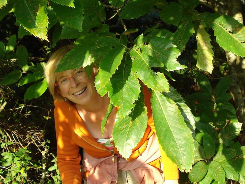 Balade Contée pour Enfants en Brocéliande