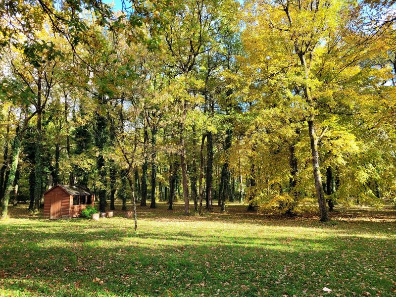 Demeure - 300 m² - 9 pièces