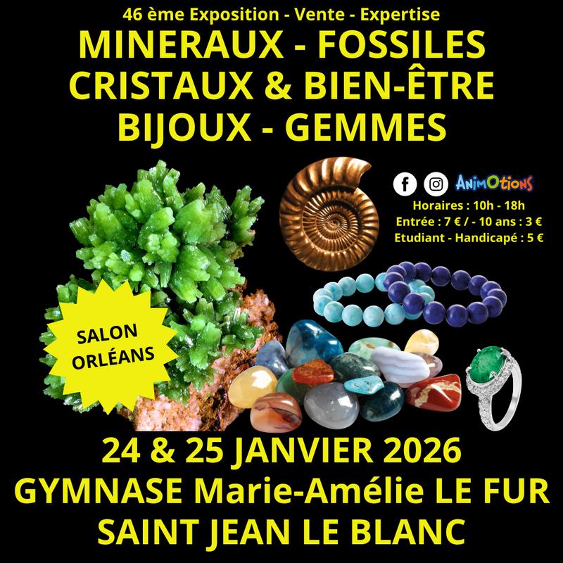 46ème salon minéraux fossiles, gemmes et bien-être et bijoux de créateurs