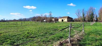 Maison - 200 m² - 6 pièces