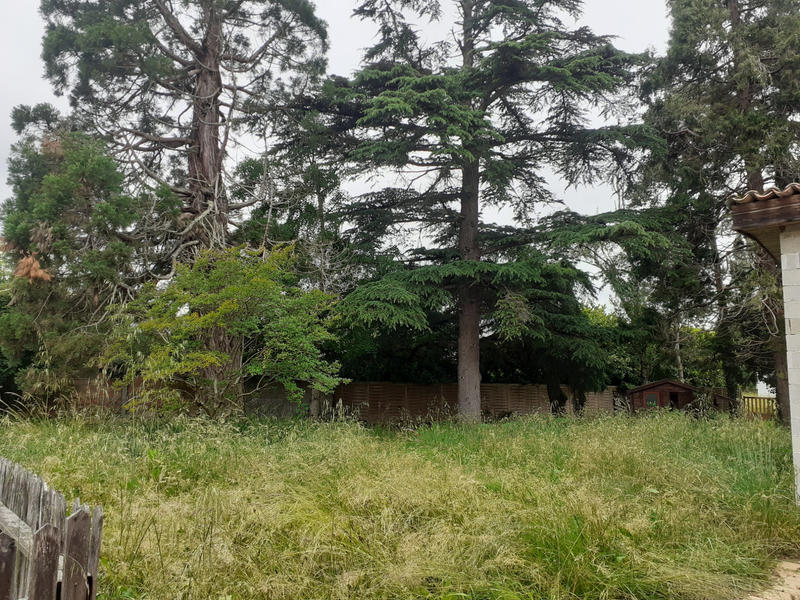 Maison - 320 m² - 15 pièces