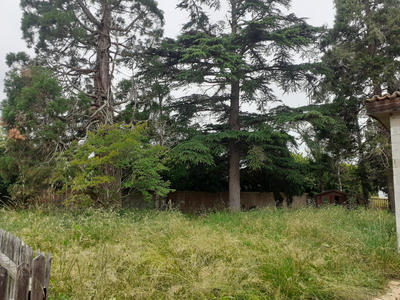 Maison - 320 m² - 15 pièces