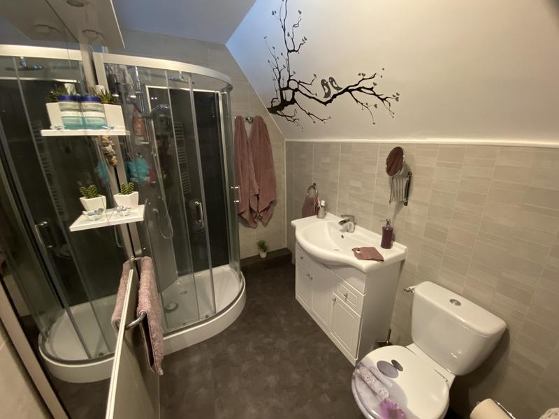 Maison traditionnelle - 265 m² - 8 pièces