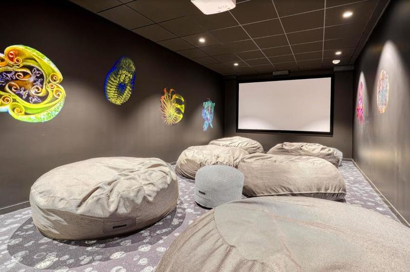 Studio - 20 m² - 1 pièce