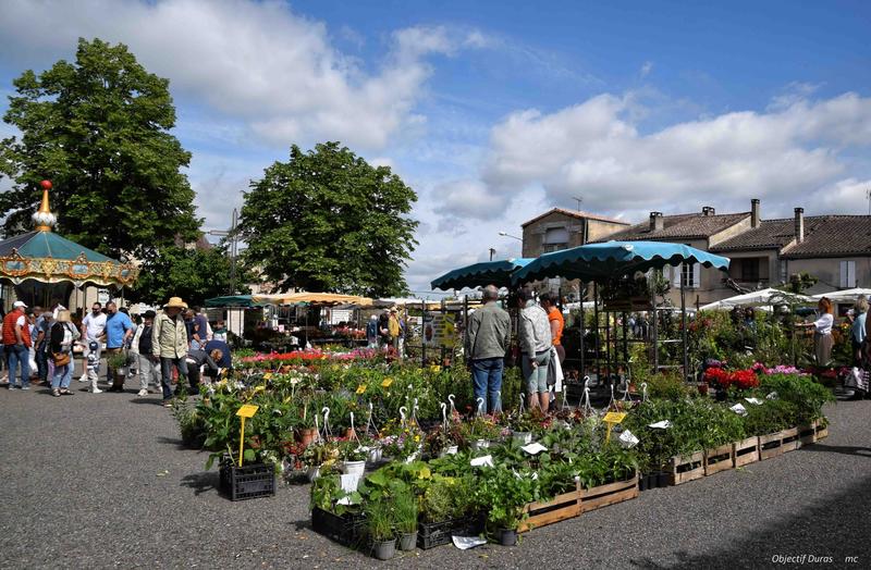 Marché aux fleurs, vide-greniers et artisanat