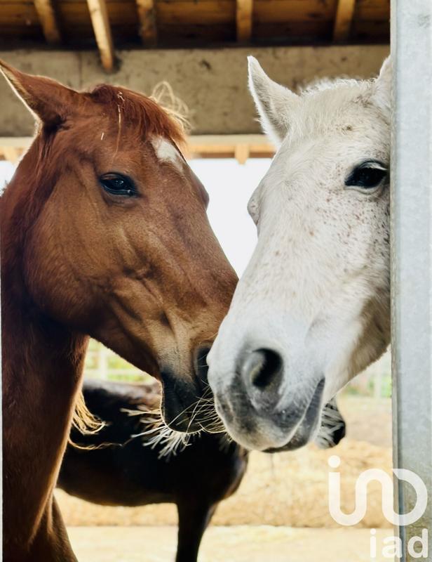 Maison - 470 m² - 13 pièces