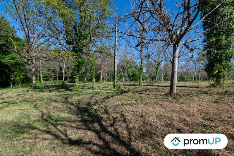 Terrain - 10 000 m²