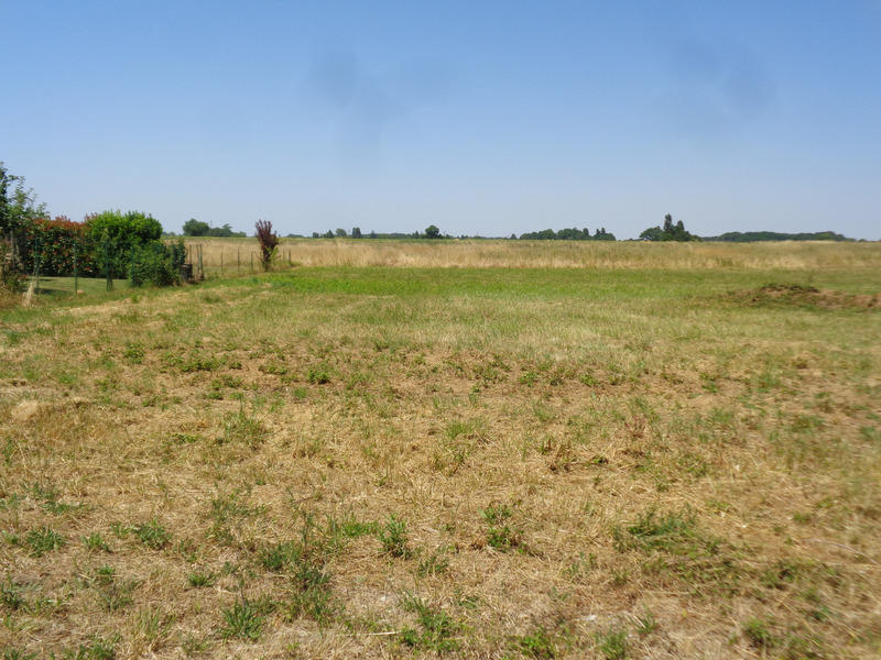 Terrain constructible - 1 259 m²