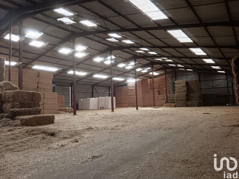 Local commercial - 2 900 m²