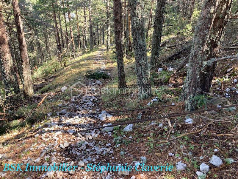 Terrain agricole - 10 100 m²