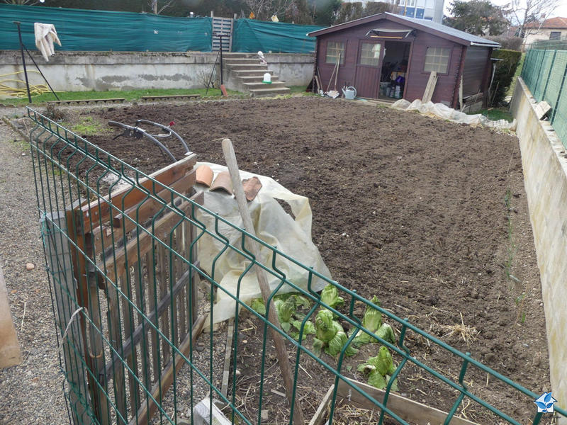 Viager - Maison ancienne - 77 m² - 4 pièces