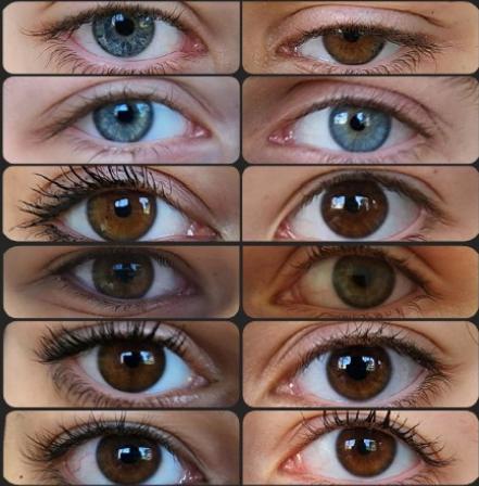 Exposition "Perceptions"