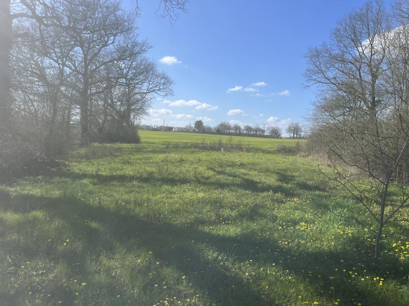 Terrain agricole - 1 097 m²