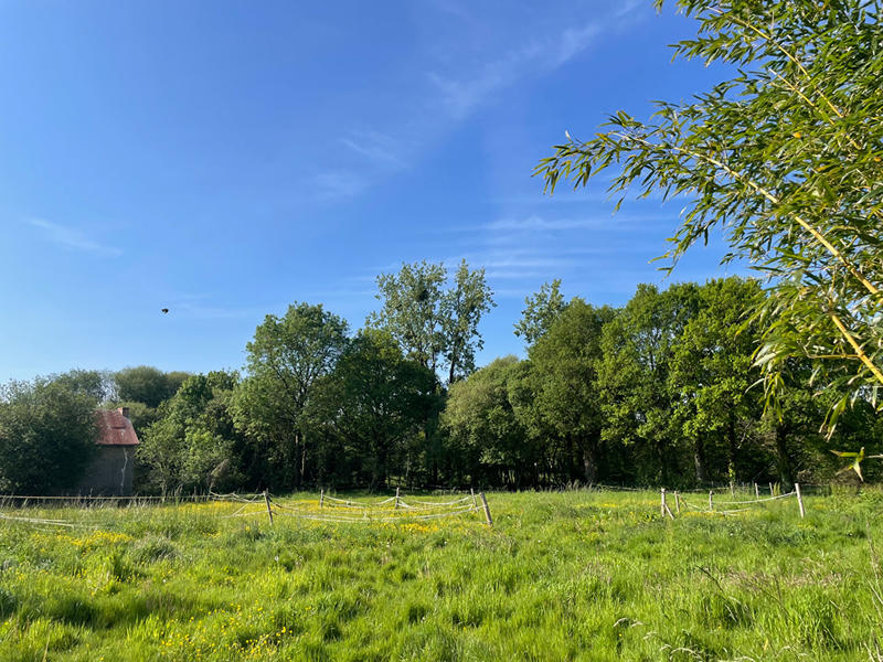 Maison - 170 m² - 5 pièces