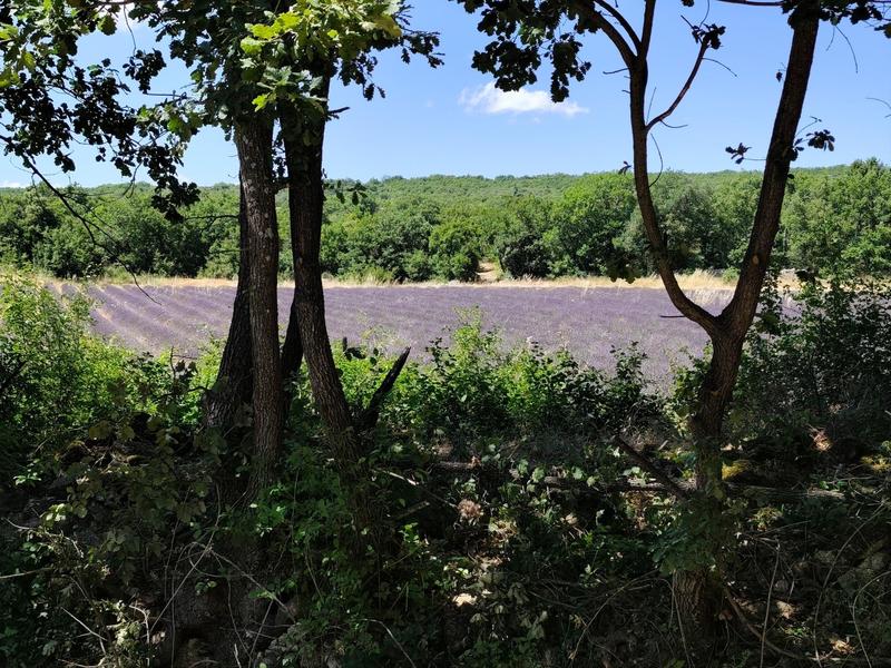 Maison - 115 m² - 4 pièces