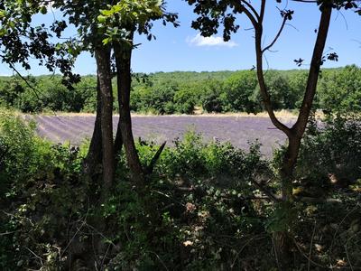 Maison - 115 m² - 4 pièces