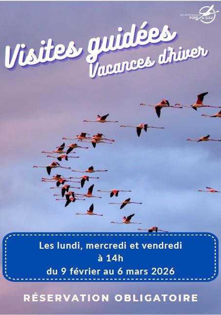 Visite Guidée Vacances d'Hiver