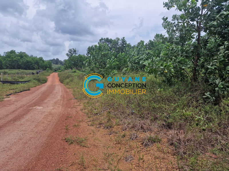 Terrain agricole - 1 667 m²