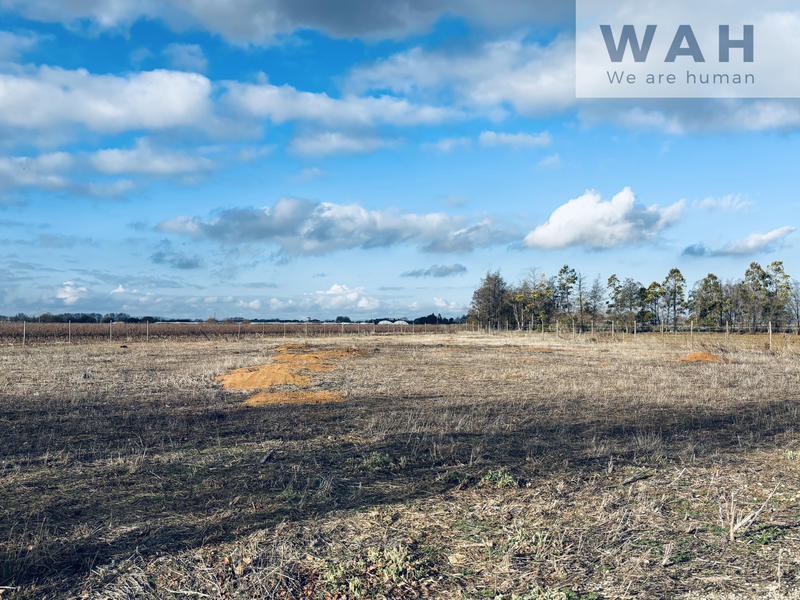 Propriété - 133 m² - 6 pièces