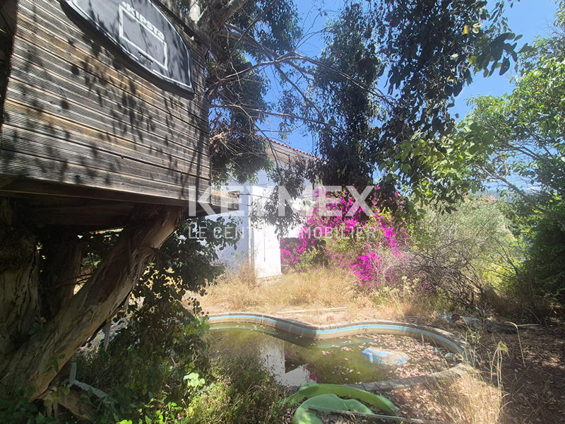 Maison - 230 m² - 8 pièces