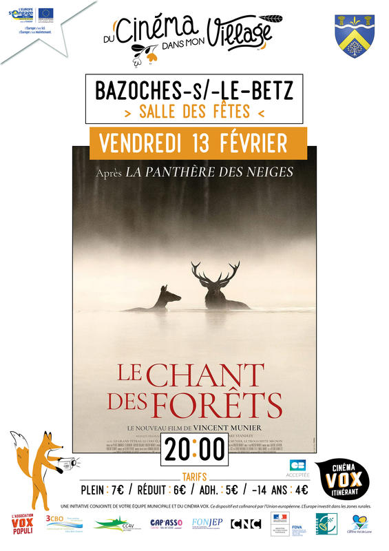 Du cinéma dans mon village