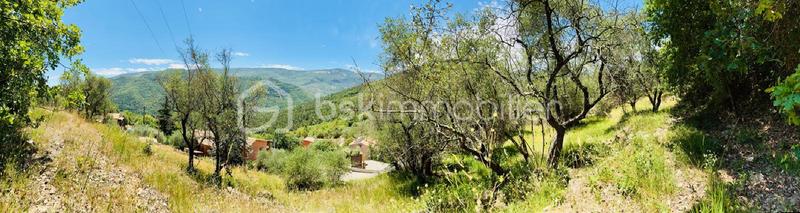 Terrain - 3 077 m²