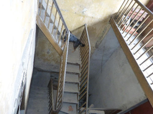 Immeuble - 270 m² - 6 pièces