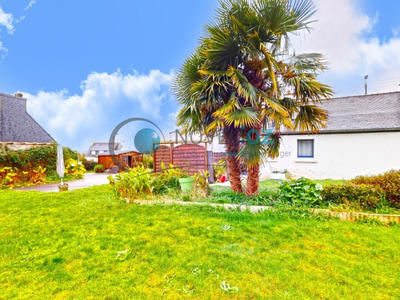 Viager - Maison - 105 m² - 5 pièces