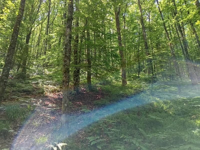 Maison - 66 m² - 4 pièces