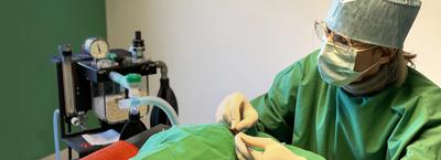 Clinique Vétérinaire Rascol-Madelenat