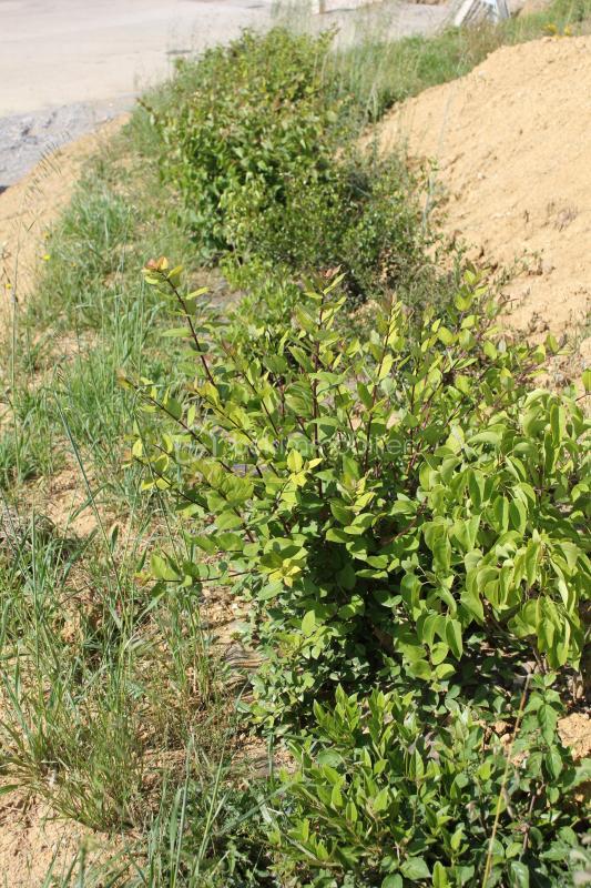 Terrain constructible - 488 m²