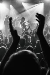 Les Negresses Vertes